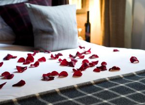 Malmaison Hotel